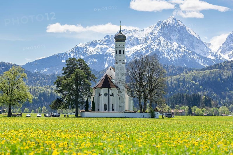Pilgrimage church of St Coloman in spring, dandelion meadow, Schwangau, Fuessen, Ostallgaeu, Allgaeu, Swabia, Bavaria, Germany, Europe