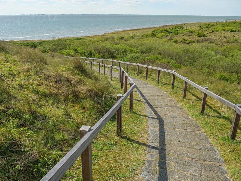 Narrow downhill path with wooden railings leading to a coast under a blue sky with clouds, dune and footpaths on the Wadden Sea, clouds in the sky, nes, ameland, netherlands