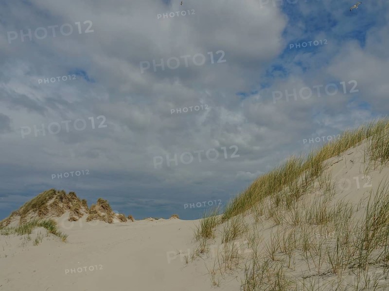 Landscape with sand dunes and grass under a partly cloudy sky, quiet and secluded, dunes on an island with a blue boat and a bench, clouds and sand by the sea, nees, ameland, the netherlands