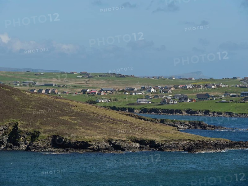 Green hills and houses of a village on a rocky coast with sea view, green meadows on a deep blue sea and a rocky coastline with single houses, lerwick, shetland, Scotland, United Kingdom, Europe