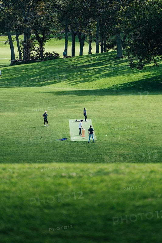 Group of people playing sports cricket in a meadow in a park in the countryside. Taken at lunchtime in Auckand, New Zealand, Oceania