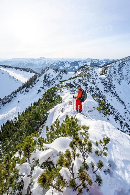 Mountaineer on the ridge of the Aiplspitz in the snow, snow-covered mountain landscape with mountain pines in winter, ski tour to the Aiplspitz, Mangfall mountains, Bavarian Prealps, Bavaria, Tyrol