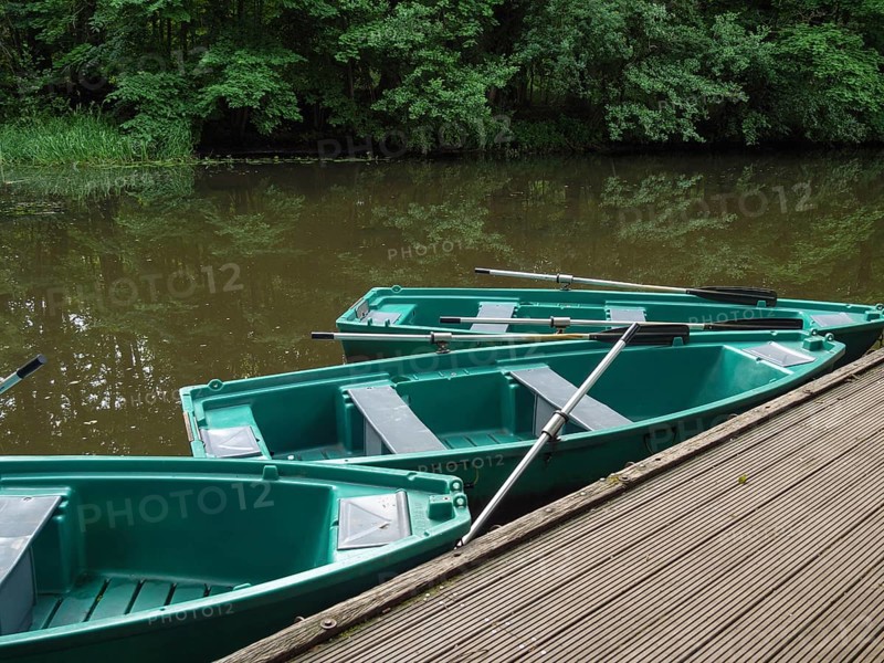 Green boats on a wooden jetty on a quiet river with trees in the background, green rowing boats on a jetty, river in the forest with many trees, ahaus, germany