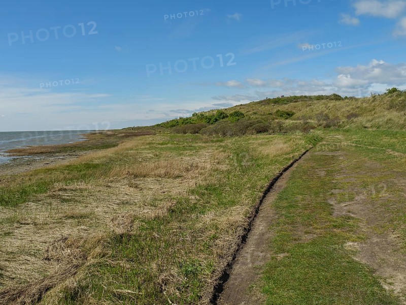 Green coastal landscape by the sea under a blue sky with clouds, nature and beach atmosphere, dune and hiking trails on the Wadden Sea, clouds in the sky, nes, ameland, the netherlands