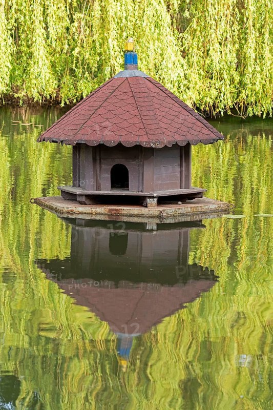Mirror image, water, pond, pigeon house, Boizenburg, Mecklenburg-Vorpommern, Germany, Europe