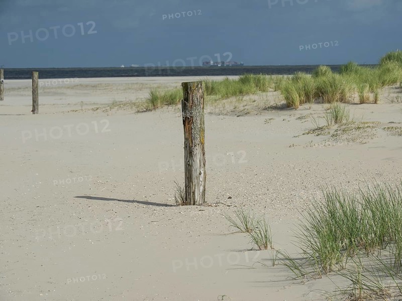 Sandy beach with wooden posts and grassy dunes under a partly cloudy sky, lonely beach with dune grass in the neighbouring dunes and marker posts, clouds playing in the sky, Spiekeroog, Germany, Europe