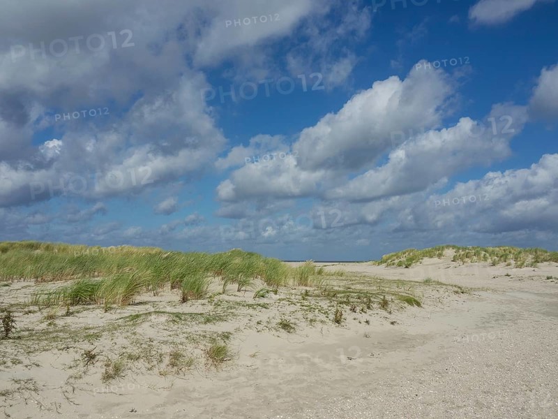Wide sand dunes under blue sky and clouds, peaceful atmosphere, lonely beach with dune grass in the neighbouring dunes and marker posts, clouds playing in the sky, Spiekeroog, Germany, Europe