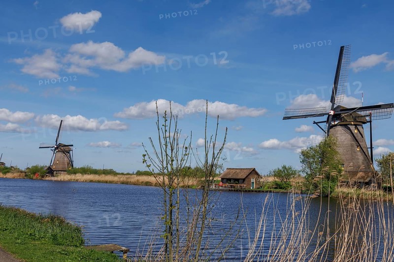 Several windmills next to a body of water and a path, surrounded by reeds under a cloudy sky, many historic windmills by a river in the middle of fields, Kinderdijk, Netherlands