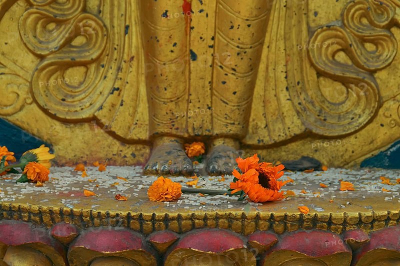 A scattering of raw rice grains and marigold flowers at the feet of a golden Hindu statue as a sacred religious ritual offering during Diwali