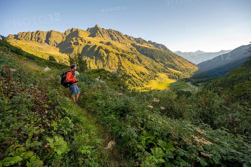 Mountaineers on a hiking trail, view of the Frohntal valley in the first morning light, mountain landscape with green mountain meadows and rocky peaks at sunrise, Carnic High Trail, Carnic Main Ridge, Carnic Alps, Carinthia, Austria, Europe