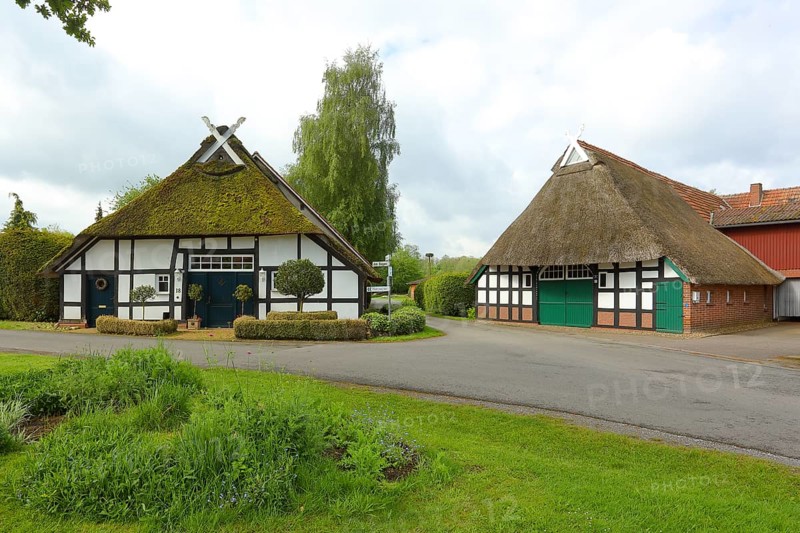 Half-timbered gables of thatched courtyards at the Duemmer, Huede, Lower Saxony, Germany, Europe