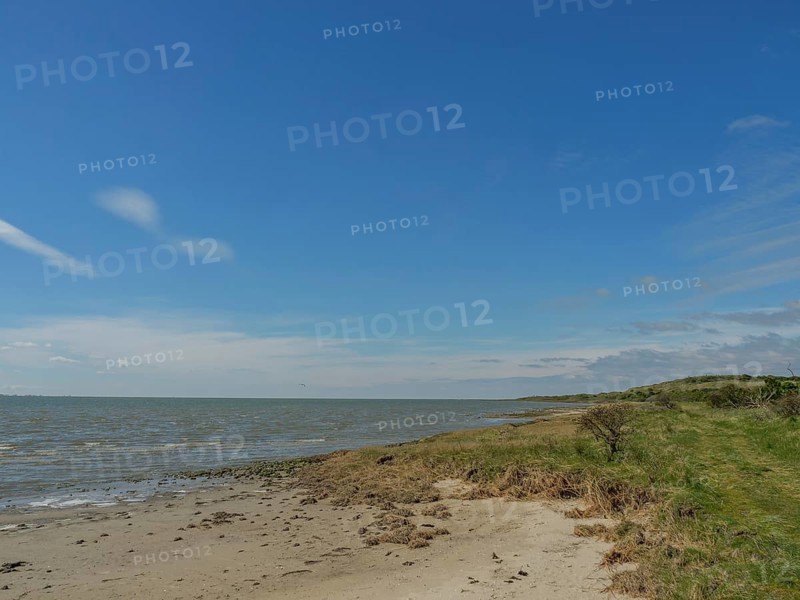 Sandy coastline meets the calm sea under a blue sky, dunes and hiking trails on the Wadden Sea, clouds in the sky, nes, ameland, the netherlands