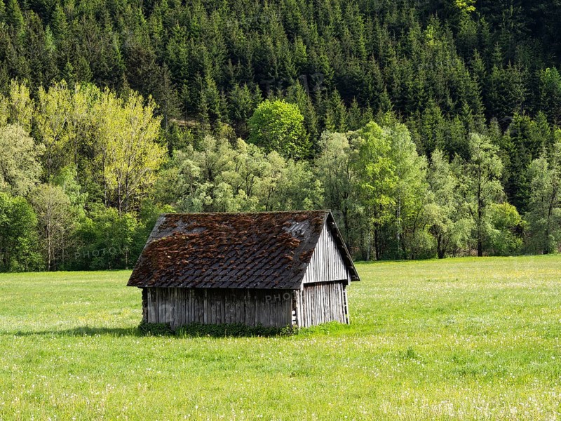 Hay barn in a meadow at the edge of a forest, near Irdning, Ennstal, Styria, Austria, Europe