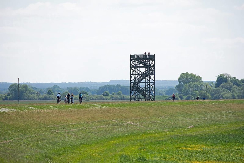 Cyclist, Elbe cycle path, Mahnkenwerder observation tower near Boizenburg, Mecklenburg-Western Pomerania, Germany, Europe