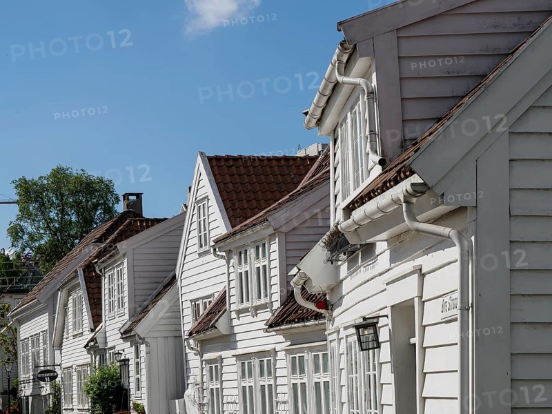 Rows of white wooden houses with numerous windows and blue sky in the background, white wooden houses with green trees and flowers against a blue sky, Stavanger, Norway, Europe