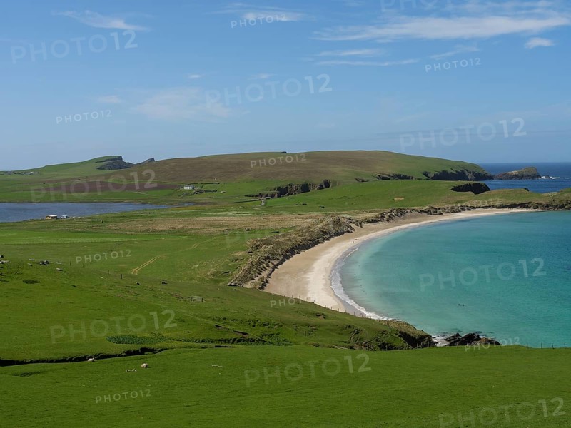 An idyllic coastal scene with rolling green hills, a long sandy beach and calm blue waters under a clear sunny sky, golden beach with green meadows on a deep blue sea with blue sky, lerwick, shetland, Scotland, United Kingdom, Europe
