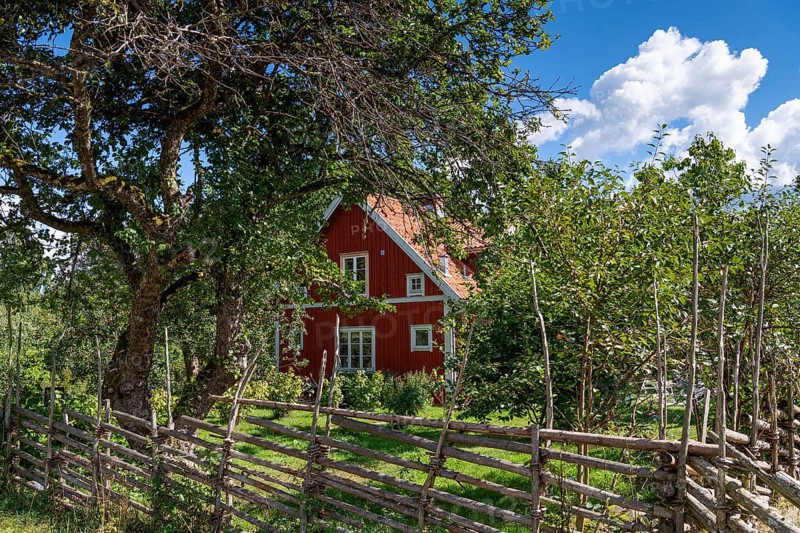 House with garden, birthplace of the Swedish natural scientist Carl von Linne, Rashult Soedregard, parsonage in Stenbrohult parish, near Aelmhult, Kronobergs laen province, Smaland, Sweden, Europe