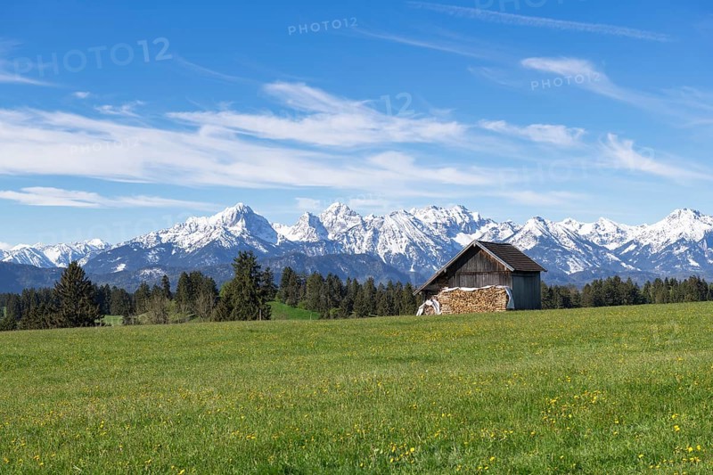 Wooden hut in a meadow near Fuessen, woodpile, Allgaeu Alps, snow, near Buching, Allgaeu, Bavaria, Germany, Europe