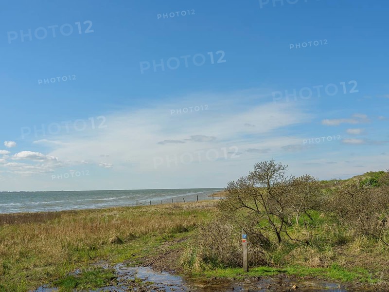 View of the sea and a meadow with shrubs and a cloudy sky, dune and beach by the sea with footpaths, grass and lots of sand, nes ameland, the netherlands