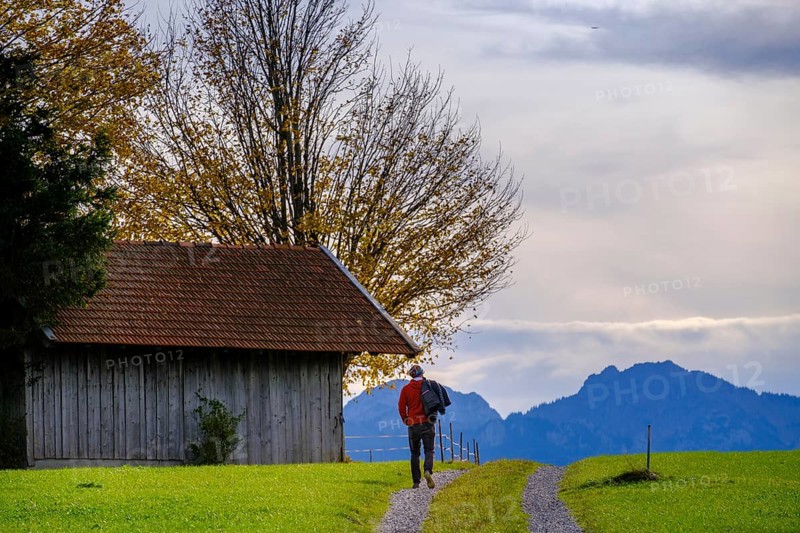 Hikers on the panoramic trail to the Egg viewpoint, near Steingaden, Upper Bavaria. Bavaria, Germany, Europe