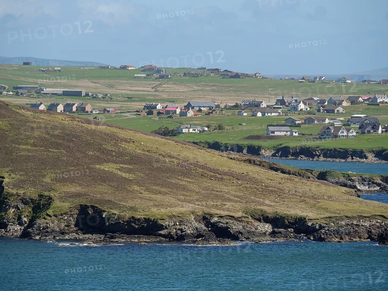 View of a coastal village with several houses on green fields, green meadows on a deep blue sea and a rocky coastline with single houses, lerwick, shetland, Scotland, United Kingdom, Europe