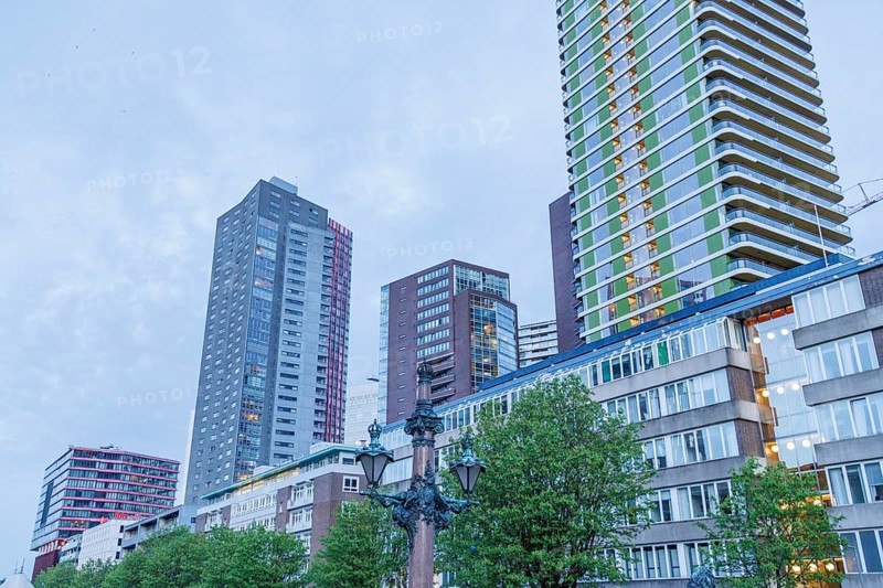 City view with modern skyscrapers, a lamp post in the foreground and trees in a cloudy sky, small harbour in a big city with a lighthouse and modern houses, Rotterdam, Netherlands