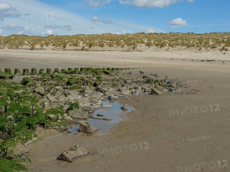 Rocks on the beach with seaweed, sand dunes in the background and cloudy sky, beach and dunes with grass and a bench by the sea, nes, ameland, the netherlands