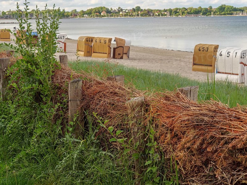 Beach chairs on a sandy beach, in the foreground grasses and wood, in the background calm sea, beach chairs on a quiet sandy beach by the sea, clouds over the sea, Eckernfoerde, germany