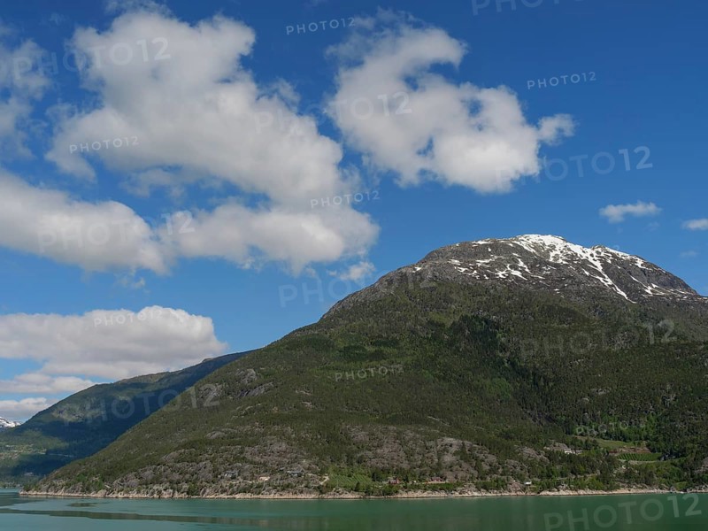 A mountain under a clear blue sky with some clouds, surrounded by a lake and forests, greenish shimmering water in a fjord with snow-capped mountains and green trees, eidfjord, Norway, Europe