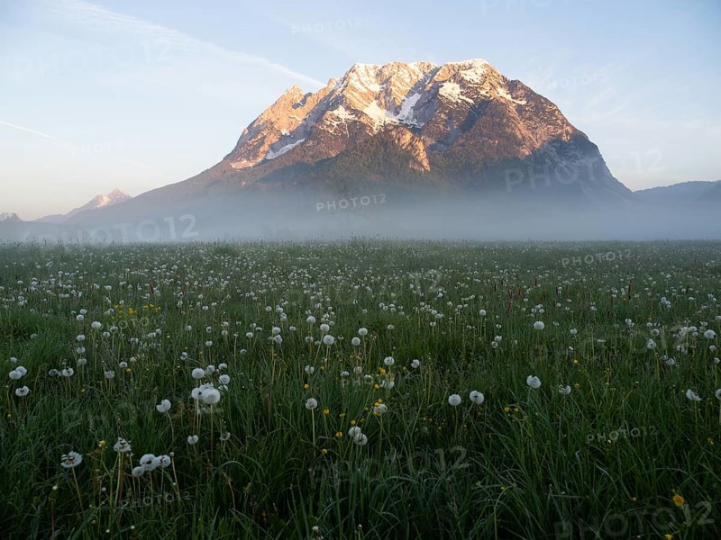 Morning light falls on a mountain peak, Grimming, early morning fog on the meadow, near Irdning, Styria, Austria, Europe