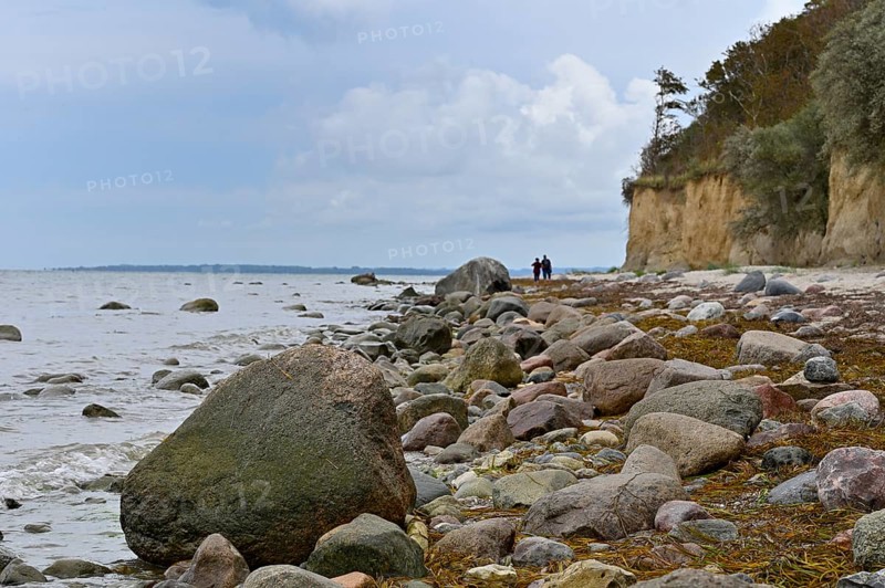 Natural beach with rocks on the steep coast of the island of Poel, Baltic Sea, Mecklenburg-Western Pomerania, Germany, Europe