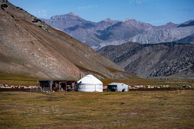 Yurt and herd of sheep in mountain landscape, Karkyra Valley, Karkyra River, Kyrgyzstan, Asia