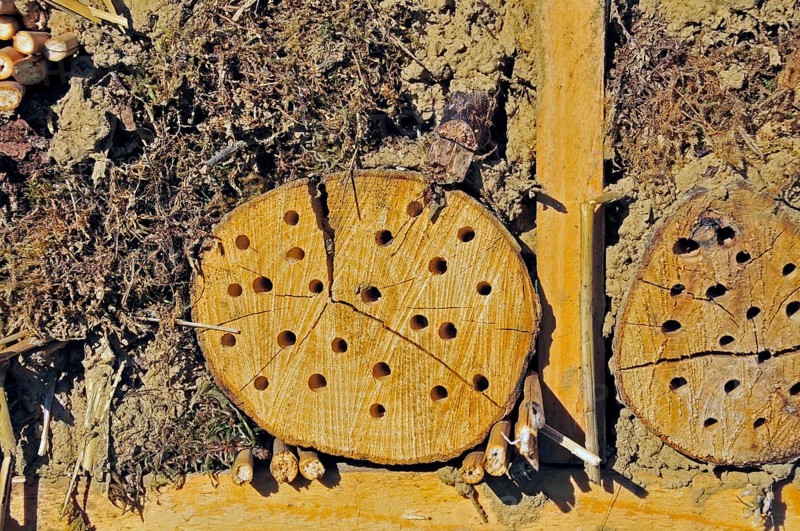 Nesting aid for wild bees and other insects with wooden logs, wild bee nesting aid, insect nesting aid, insect hotel