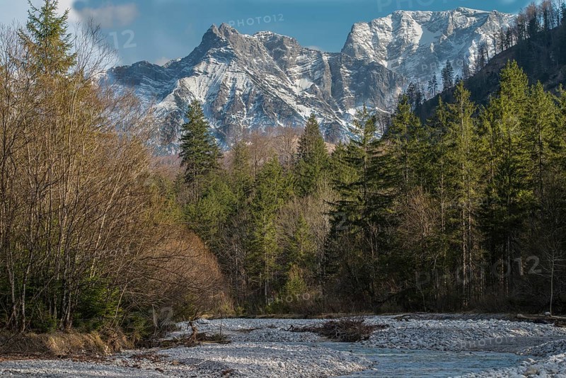 A river meanders through a forest with snow-capped mountains in the background. Almtal Upper Austria nature reserve