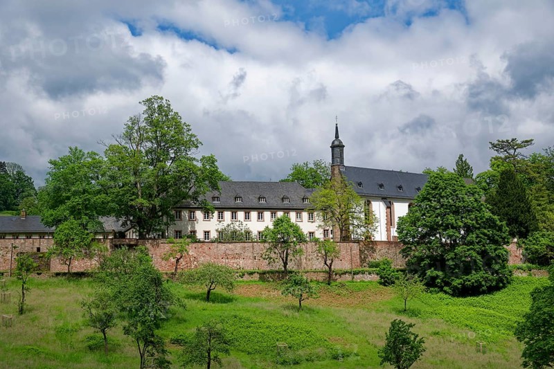 Benedictine Abbey of Neuburg Abbey, also known as Neuburg Abbey, Neuburg Abbey and Neuburg Monastery, near Heidelberg, Baden-Wuerttemberg, Germany, Europe