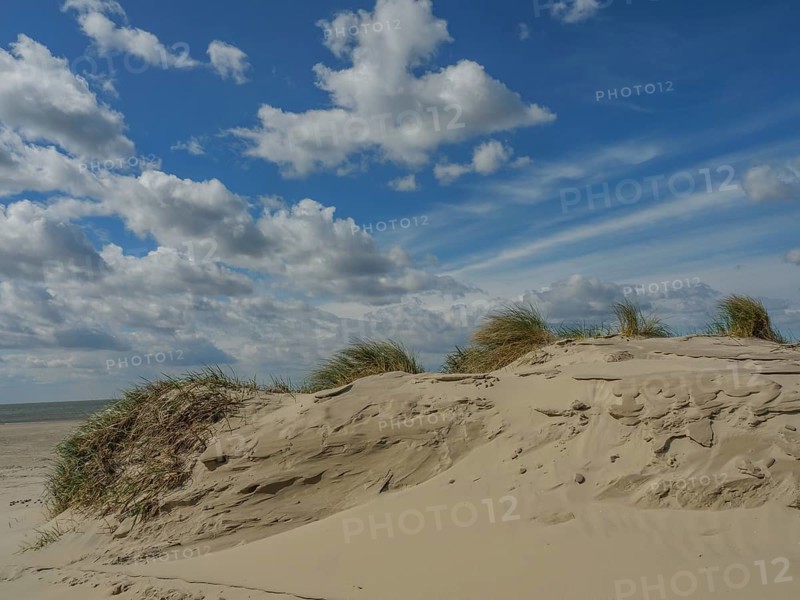 Sand dunes on the beach with bushy grass and dramatic sky with clouds, beach and dunes with grass and a bench by the sea, nes, ameland, the netherlands