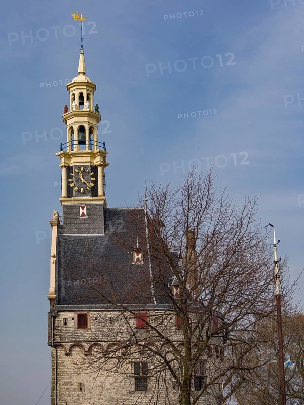 Historic stone clock tower with trees in the foreground against a blue sky, tower with a golden spire and a large clock against a blue sky, hoorn, the netherlands
