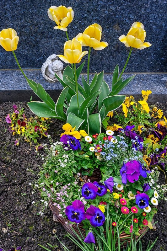 Grave with floral decoration and cherub at the cemetery church of St Stephan, Irsee, Swabia, Bavaria, Germany, Europe