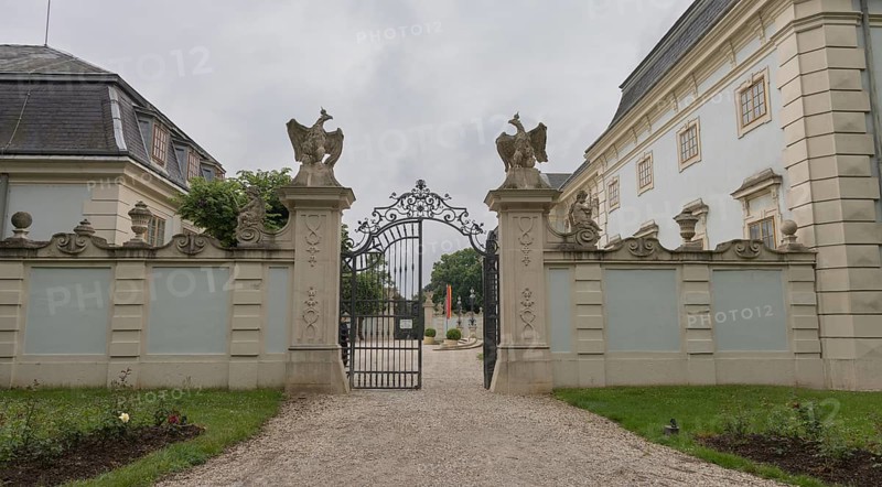 Halbturn Castle, Halbturn, castle park, avenue, Austria, Europe