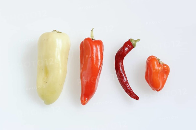 Paprika (Capsicum annuum) and chilli (Capsicum frutescens) on a white background, pepper, pepper, chilli pepper, chilli pepper