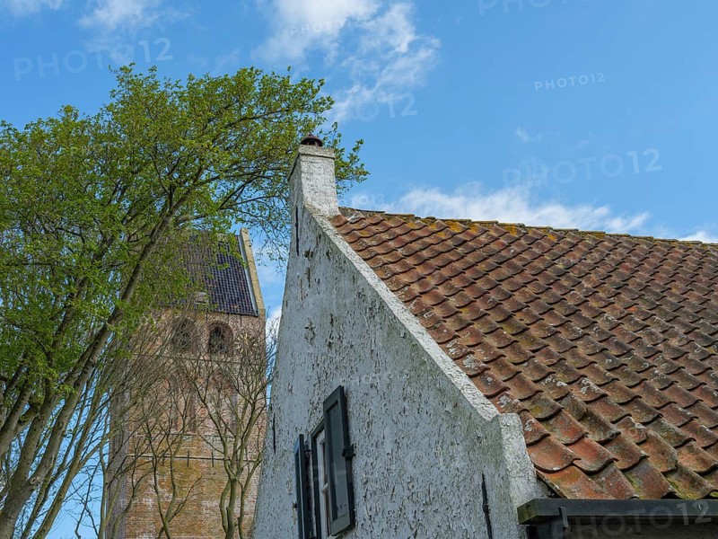An old house with a red tiled roof next to a large tree and a church under a sunny blue sky, historic houses on a small street with green trees, hollum, ameland, the netherlands