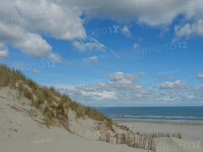 View of the beach with sand dunes and the sea under a blue cloudy sky, dunes on an island with a blue boat and a bench, clouds and sand by the sea, nees, ameland, the netherlands