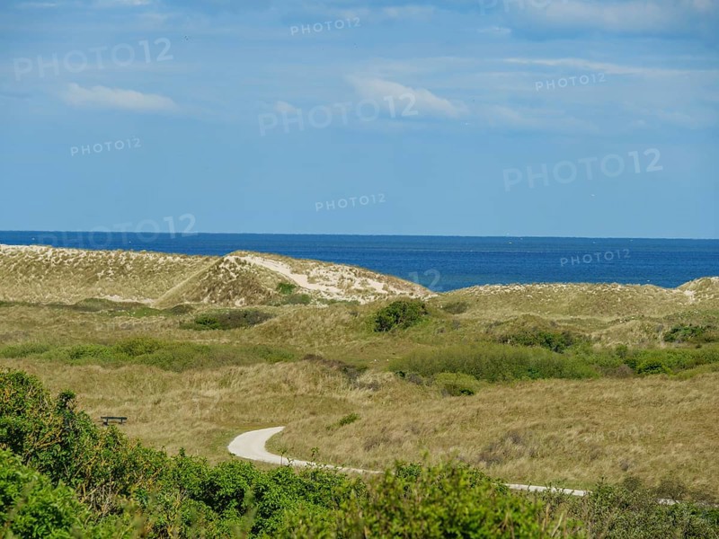 Sand dunes and grassy hills with coastal views of the sea under a blue sky with scattered clouds, dune and hiking trails on the Wadden Sea, clouds in the sky, nes, ameland, netherlands