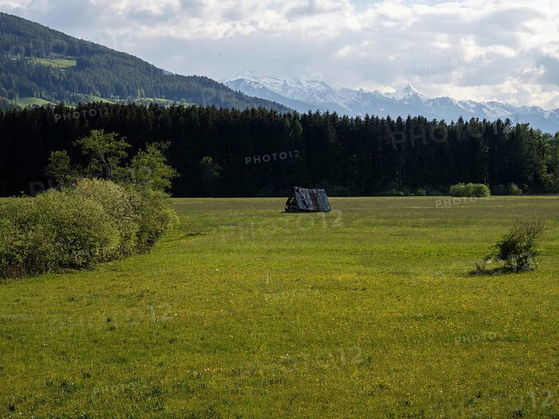 Meadow with hay barn, snow-covered mountain peaks behind, near Irdning, Ennstal, Styria
