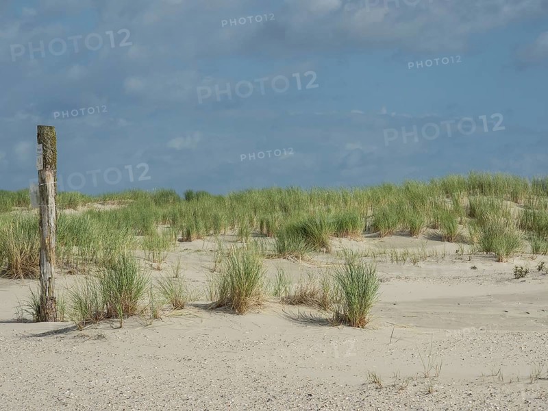 Barren sand dunes with scattered tufts of grass under a partly cloudy sky, lonely beach with dune grass in the neighbouring dunes and marker posts, clouds playing in the sky, Spiekeroog, Germany, Europe