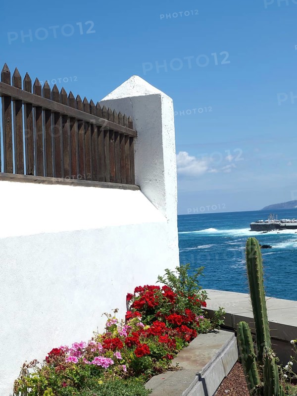 Fence by the sea with flowers and cacti, Puerto de la cruz, Teneriiffa, Spain, Europe