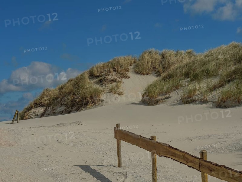 A tranquil beach landscape with sand dunes, grasses and a blue sky with a few clouds, dunes and beaches by the sea with footpaths, grass and lots of sand, nes ameland, the netherlands