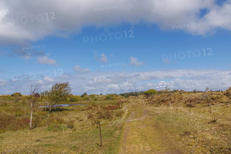 Extensive path through green meadow landscape with hills under a partly cloudy sky, dune and hiking trails on the Wadden Sea, clouds in the sky, nes, ameland, the netherlands