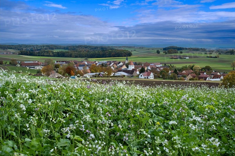 View over Schopflohe near Fremdingen, on the edge of the Ries crater, Noerdlinger Ries, Swabia, Bavaria, Germany, Europe