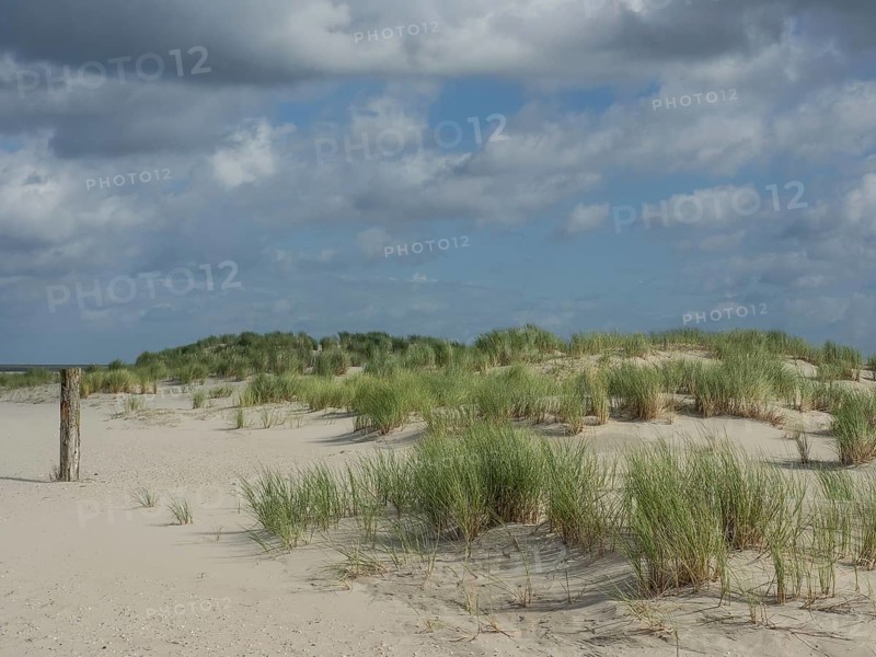 Beach with grassy dunes under a slightly cloudy sky, lonely beach with dune grass in the neighbouring dunes and marker posts, clouds playing in the sky, Spiekeroog, Germany, Europe